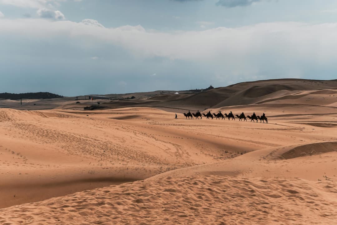 How to Set Up a Subsidiary Company in Mongolia?