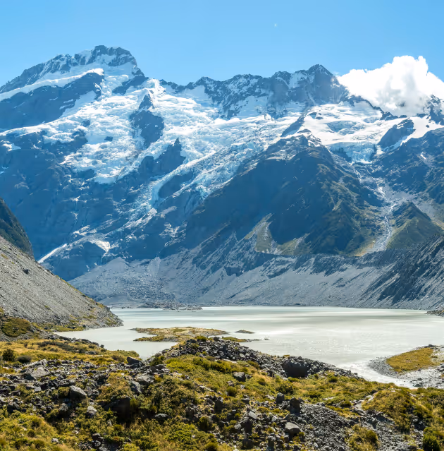 Ultimate Guide to Starting a Subsidiary Company in New Zealand