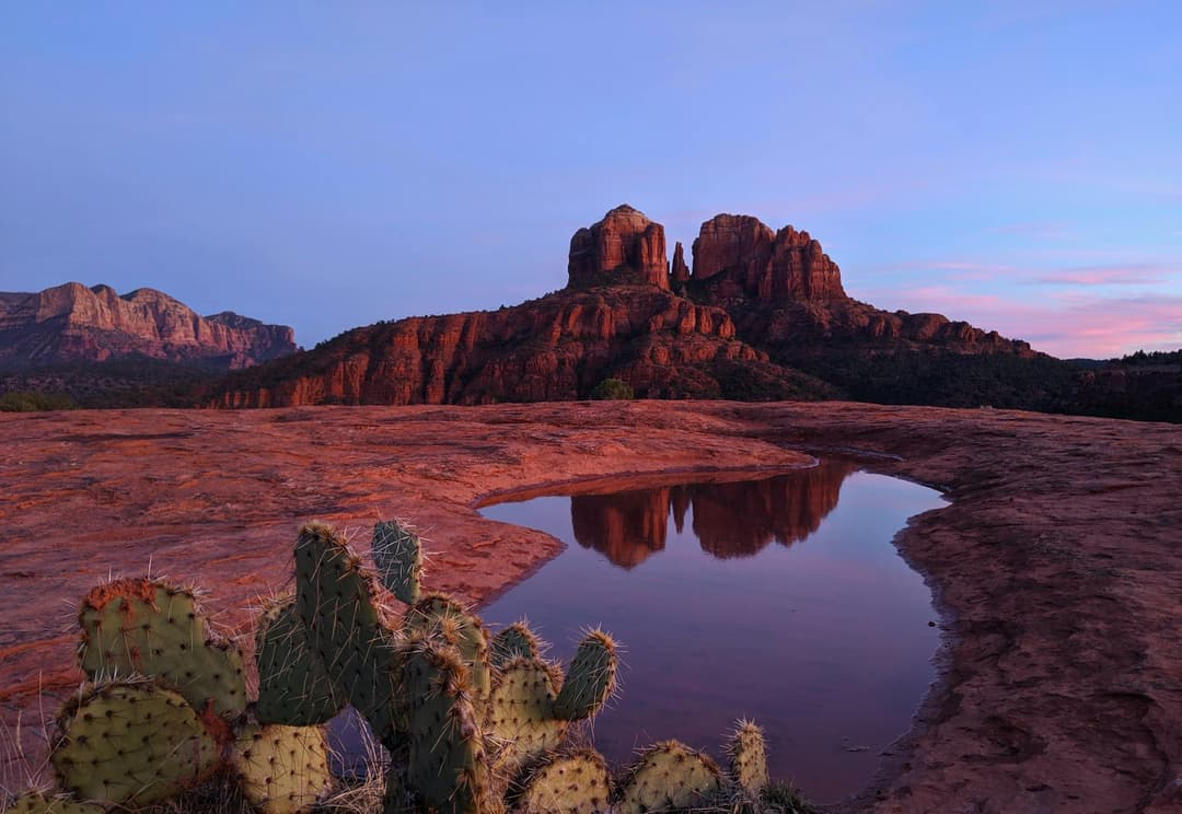 how-much-does-an-llc-cost-in-arizona