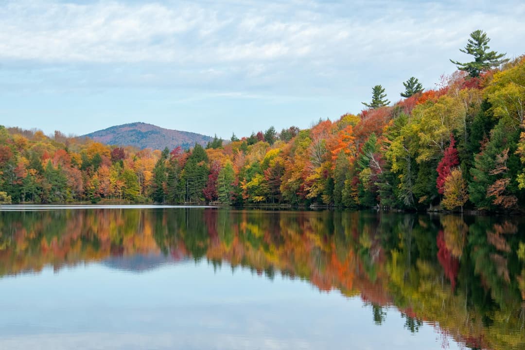 how-much-does-an-llc-cost-in-vermont