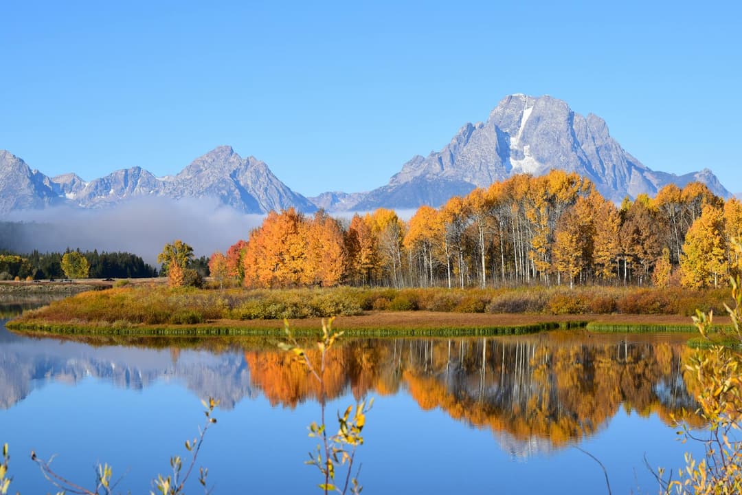 how-much-does-an-llc-cost-in-wyoming