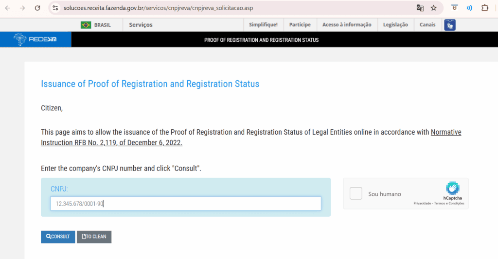Step-by-Step Process to Verify a CNPJ on the Official Brazil Portal