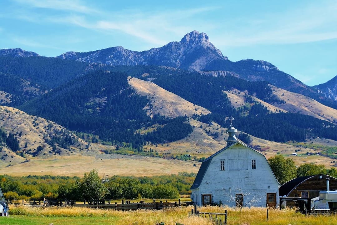 montana-llc-formation