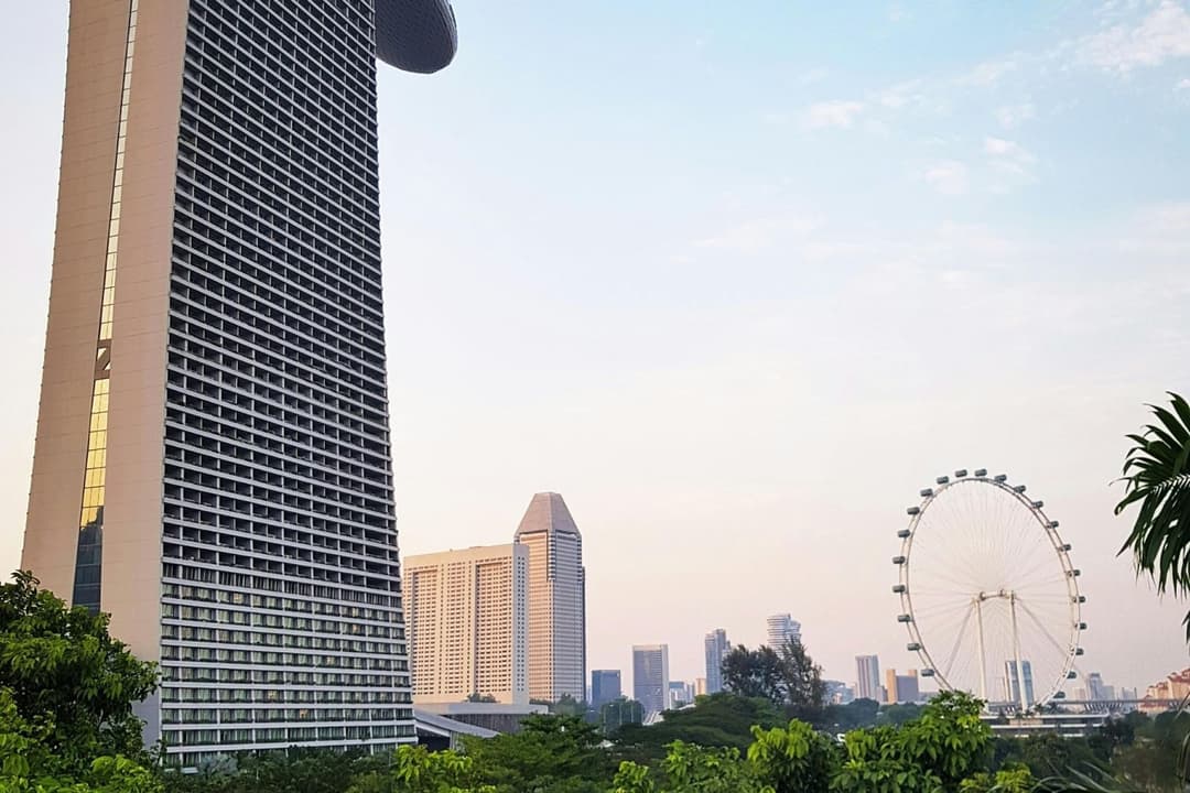 singapore-business-license