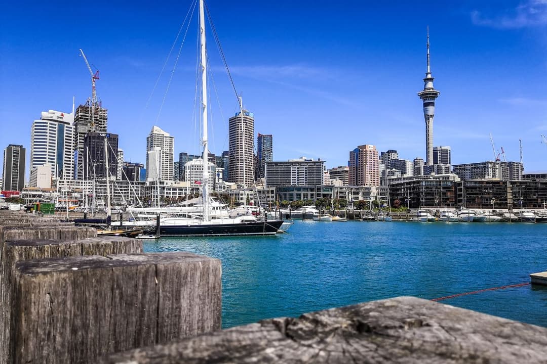 penalties-non-compliance-new-zealand