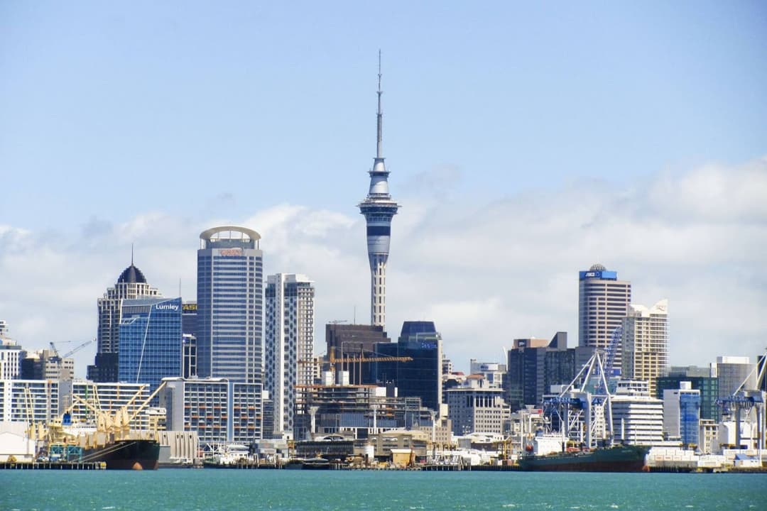 ubo-guide-new-zealand