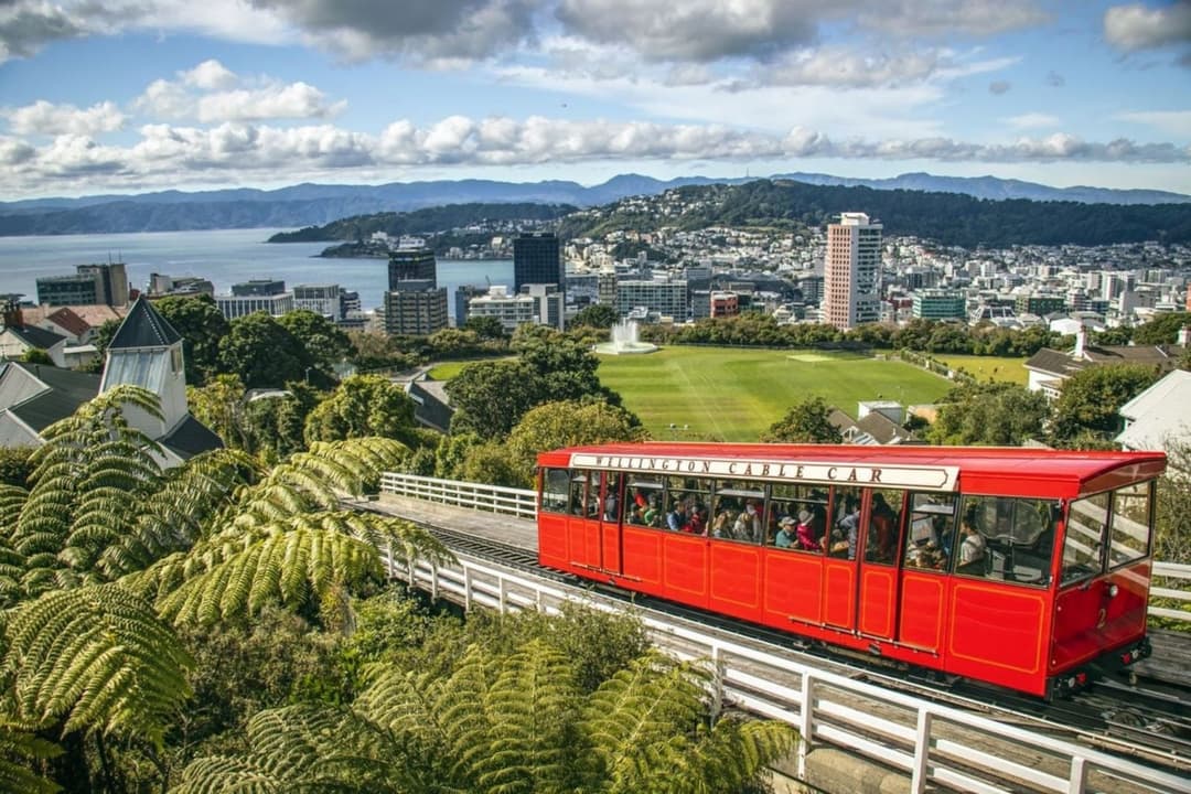 new-zealand-fiscal-representation