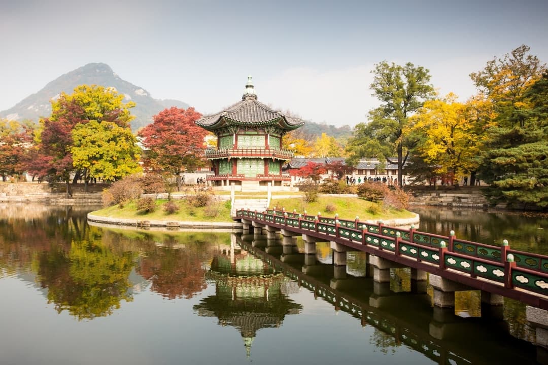 resident-director-services-south-korea