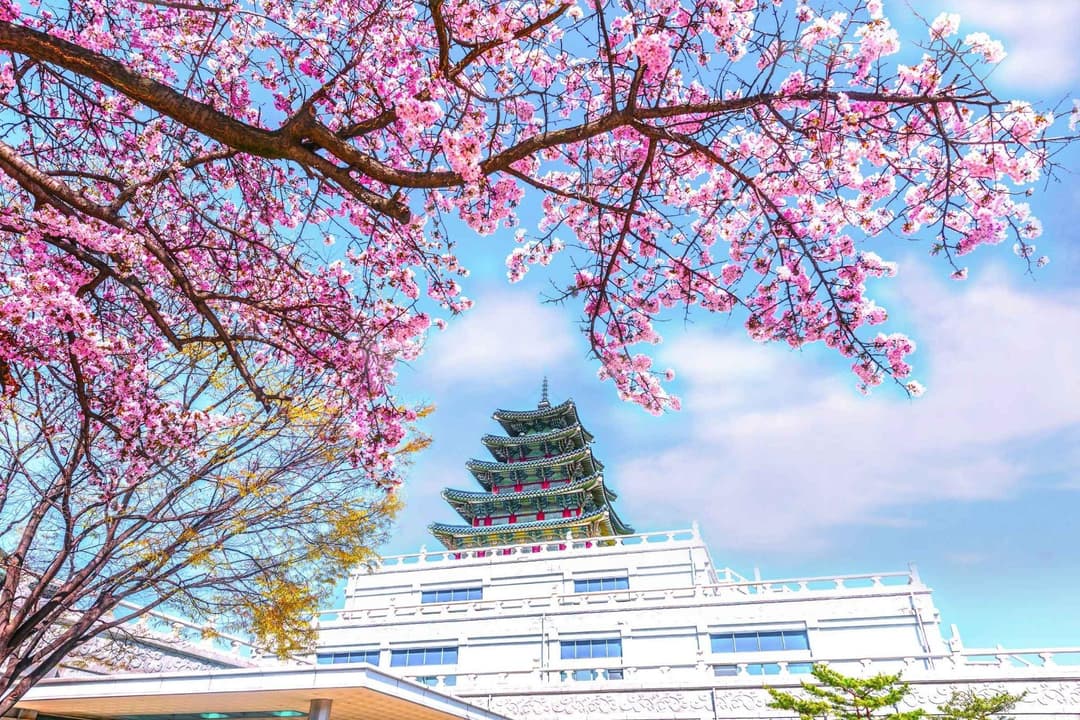 cost-to-incorporate-south-korea