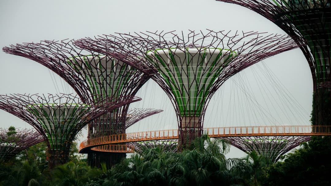 Incorporate in Singapore