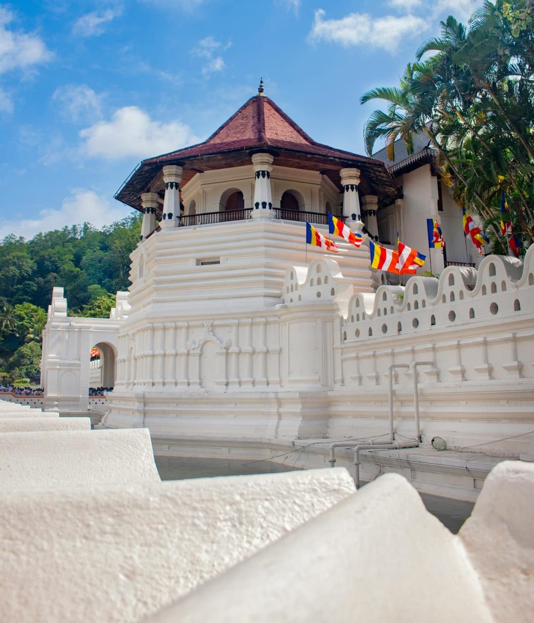 register-a-company-in-the-usa-from-sri-lanka