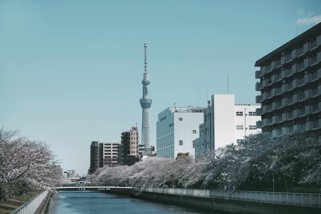 how-to-register-a-company-in-the-cayman-islands-from-japan
