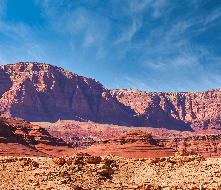 Arizona
