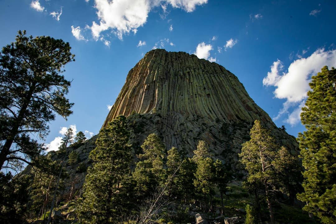 wyoming-certificate-of-good-standing