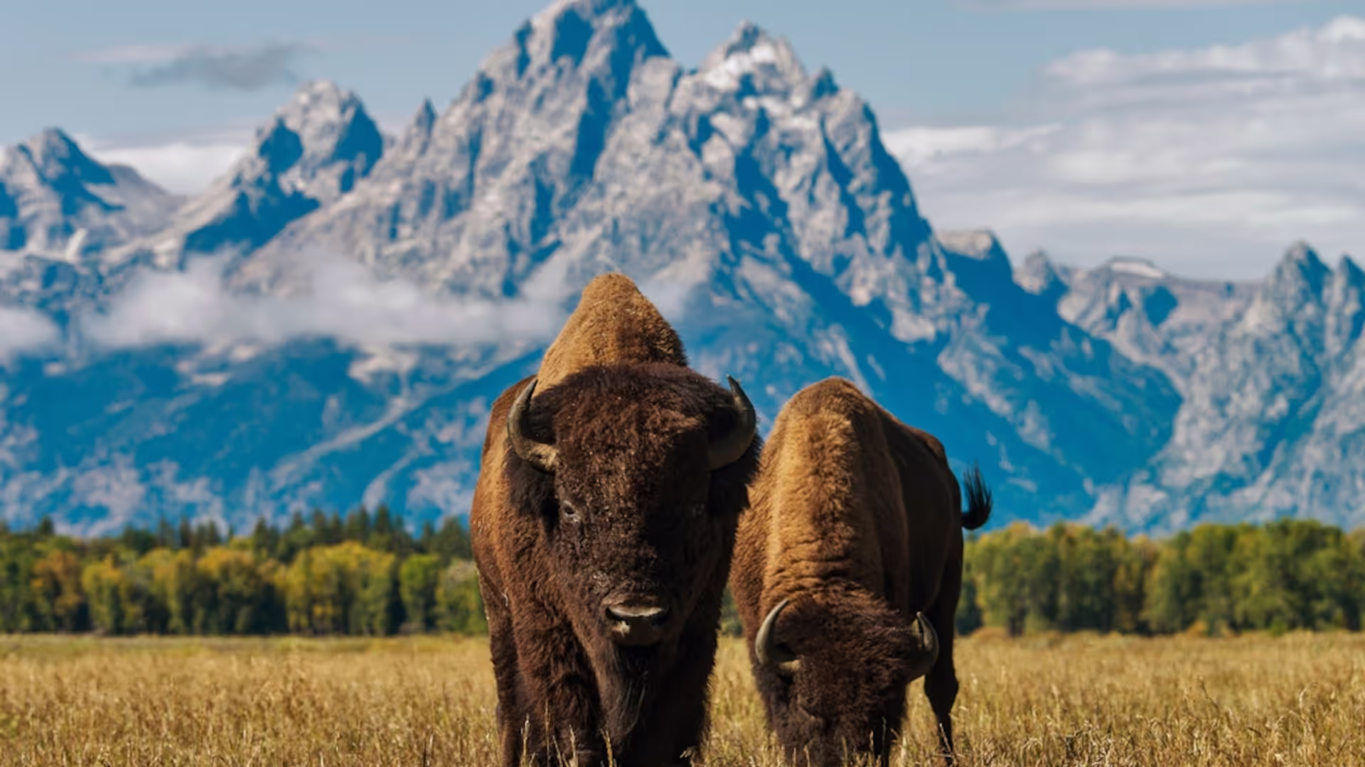 Wyoming
