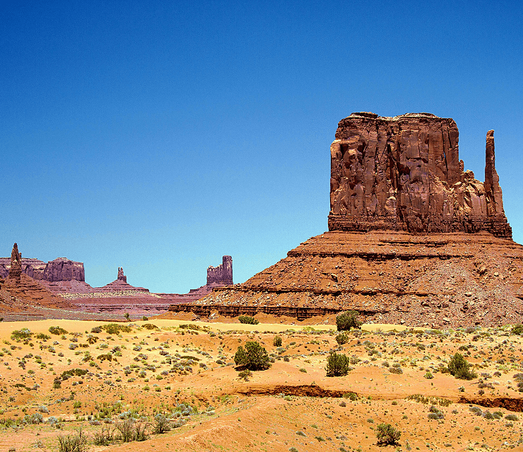 New Mexico Sales Tax Rate Rules Penalties Filing