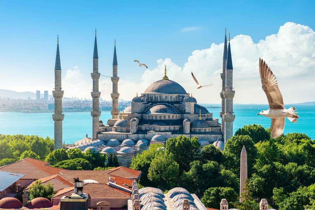 turkey-business-setup