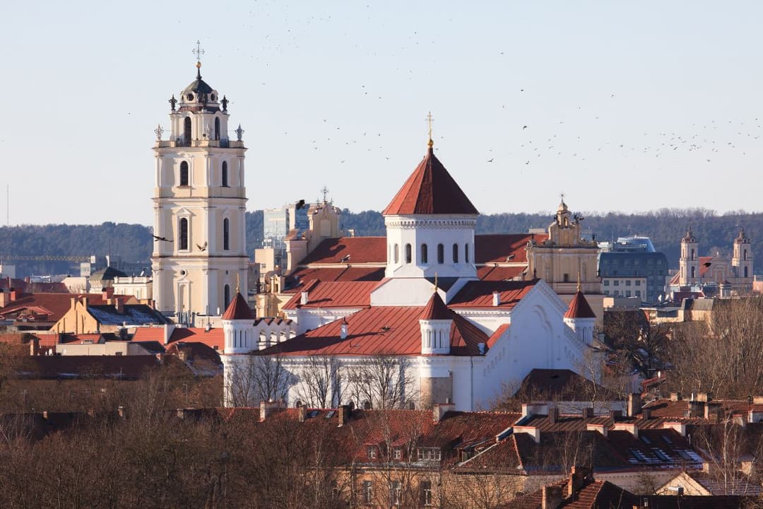 fiscal-representation-vat-compliance-lithuania