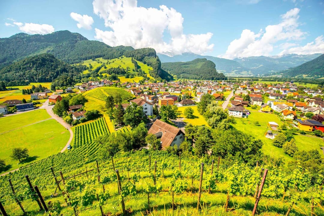 liechtenstein-fiscal-representation