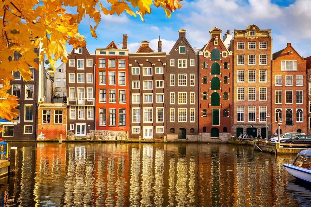 squarespace-vat-registration-filing-netherlands