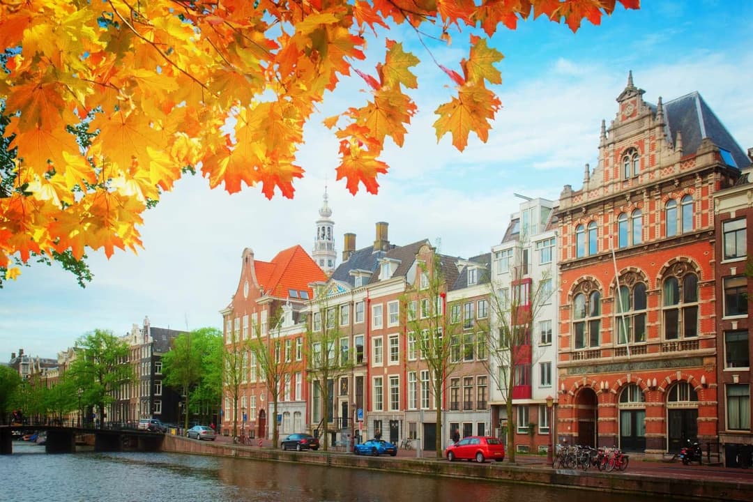 vat-registration-netherlands